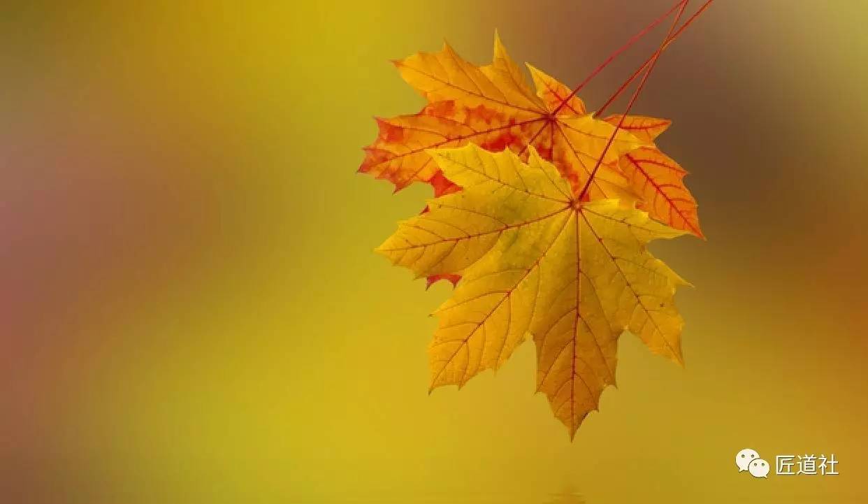 蔣小華：你的品格與修養，為何一看便知？