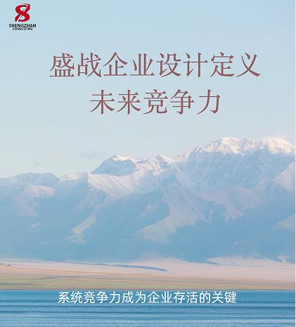 系統(tǒng)競(jìng)爭(zhēng)力：企業(yè)存活的關(guān)鍵